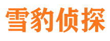 钟楼侦探公司